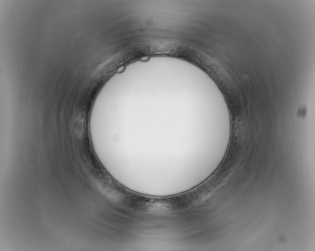 X0000090750741200708172027