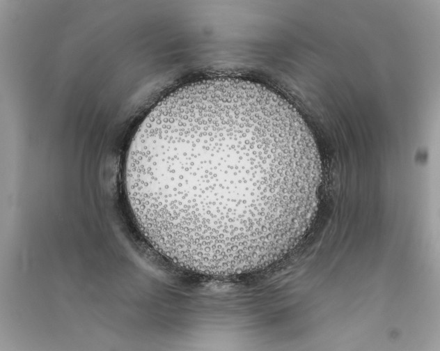 X0000090750742200708172027