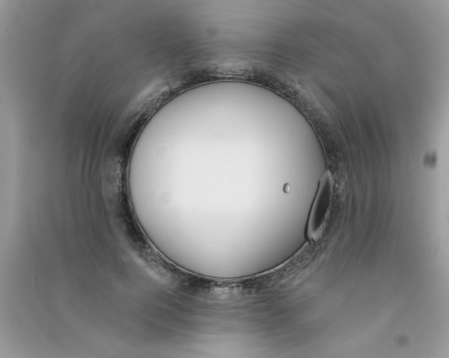 X0000090750744200708172027