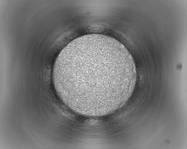 X0000090750745200708172027