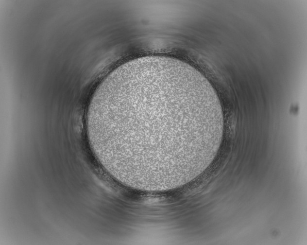 X0000090750746200708172027