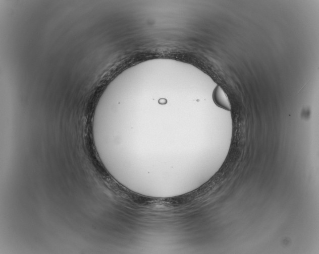 X0000090750750200708172027