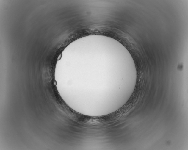 X0000090750751200708172027
