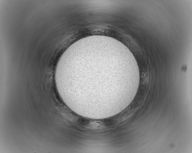 X0000090750753200708172027