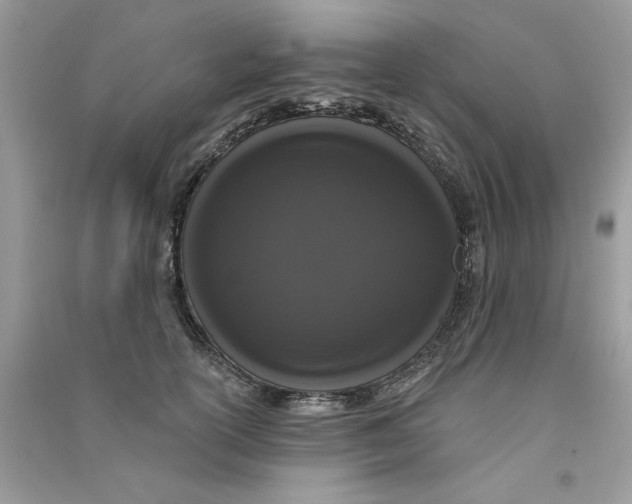 X0000090750754200708172027