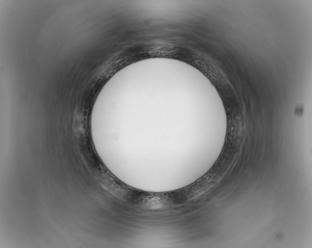 X0000090750755200708172027