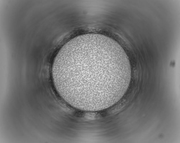 X0000090750757200708172027