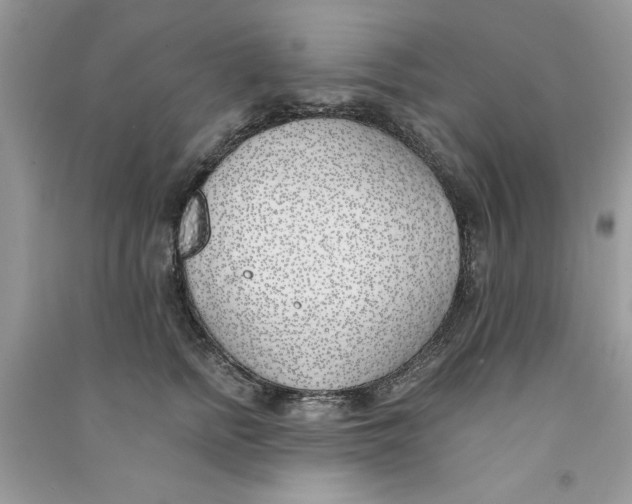 X0000090750758200708172027