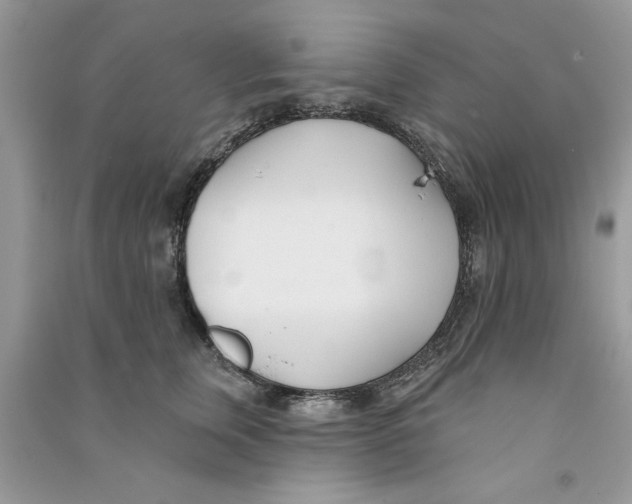 X0000090750759200708172027