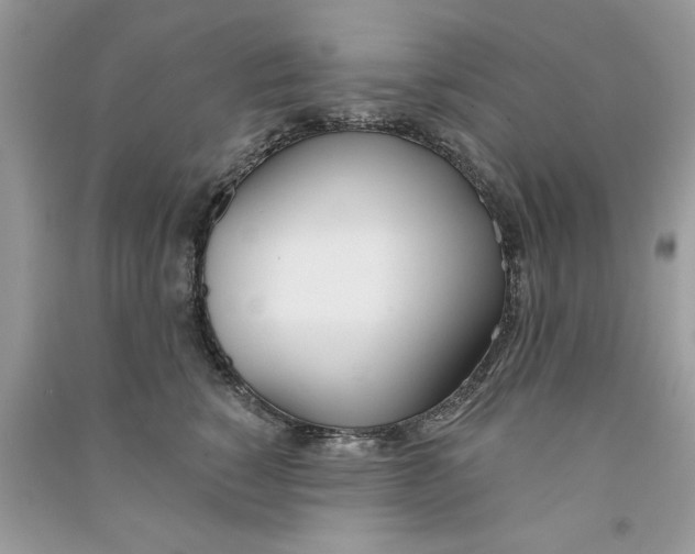 X0000090750760200708172027