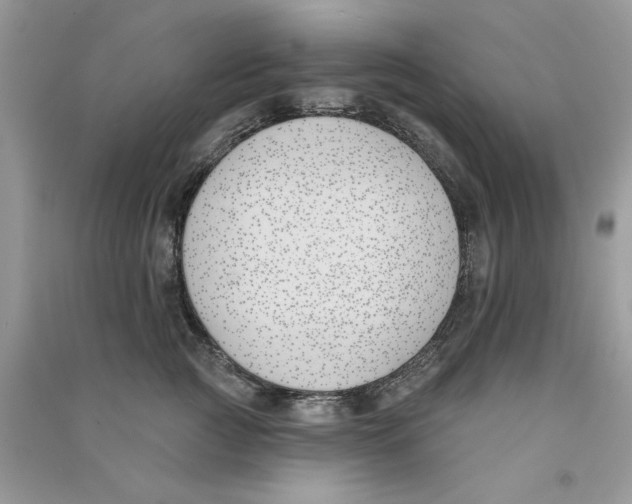 X0000090750761200708172027