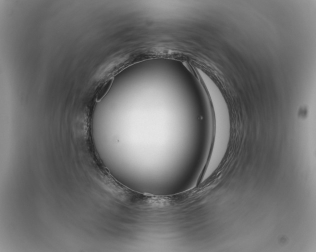X0000090750762200708172027