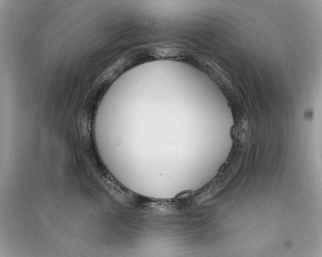 X0000090750763200708172027