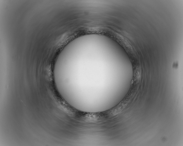 X0000090750764200708172027