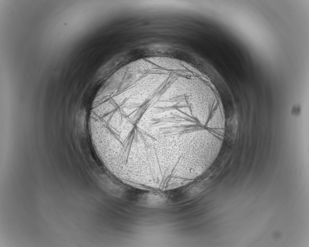 X0000090750765200708172027