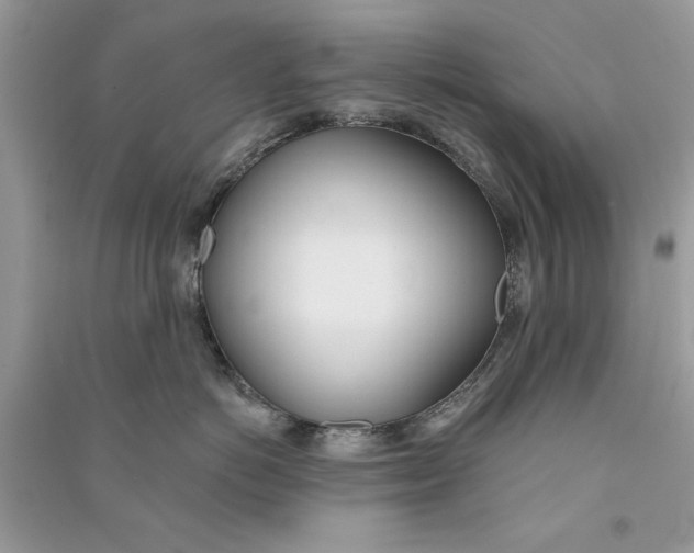 X0000090750766200708172027
