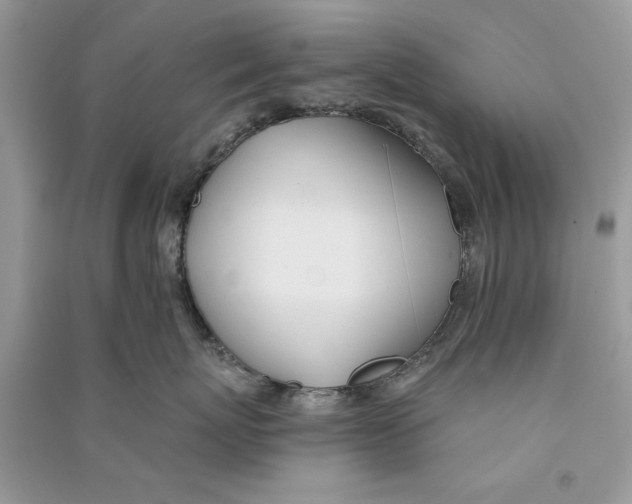 X0000090750767200708172027