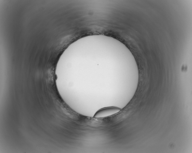 X0000090750768200708172027