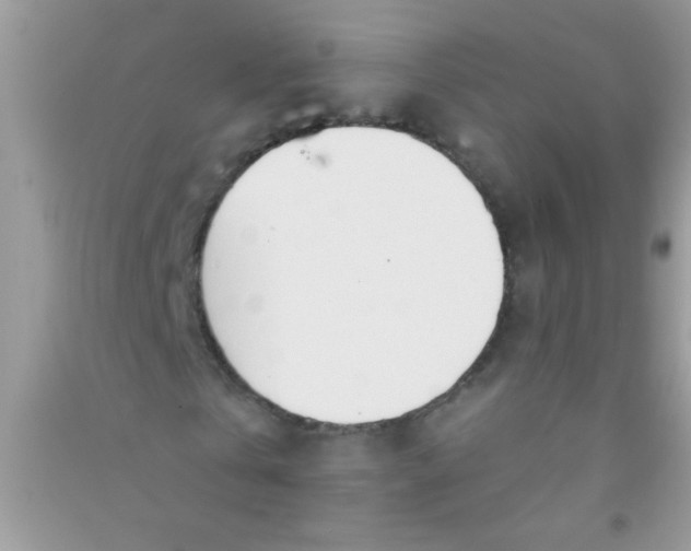 X0000090750769200708172027