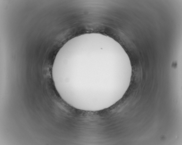 X0000090750770200708172026