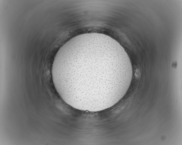 X0000090750771200708172026