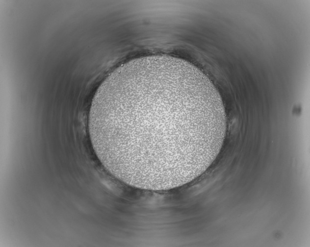 X0000090750772200708172026