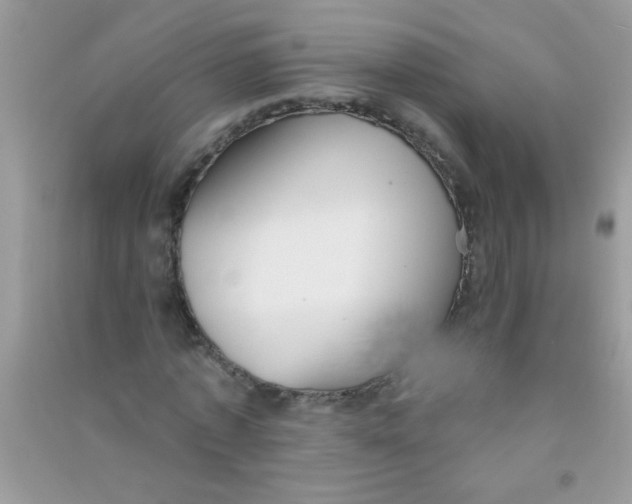 X0000090750773200708172026