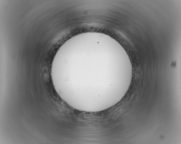 X0000090750774200708172026