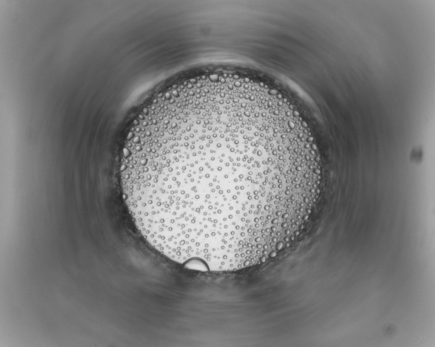 X0000090750775200708172026