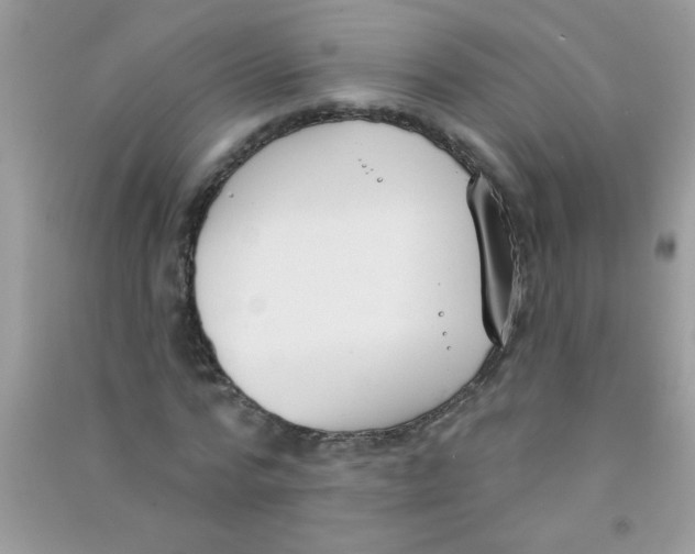 X0000090750776200708172026
