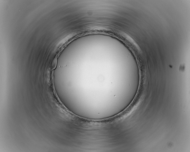 X0000090750777200708172026