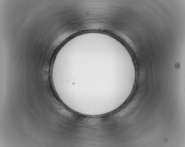 X0000090750778200708172026