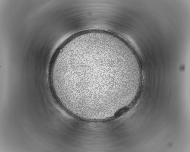 X0000090750780200708172026