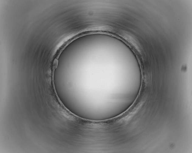 X0000090750781200708172026