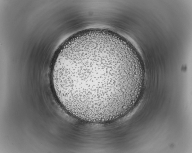 X0000090750783200708172026