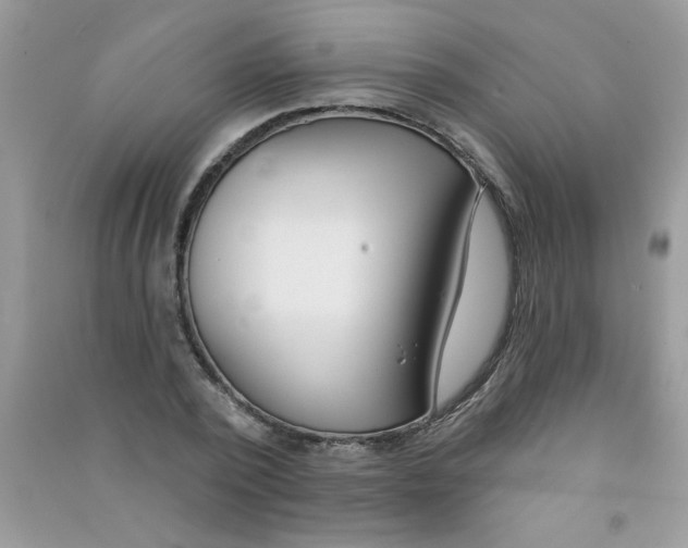 X0000090750784200708172026