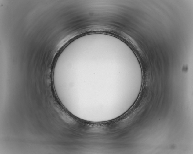 X0000090750786200708172026