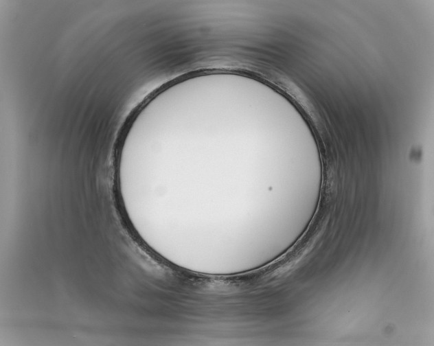 X0000090750787200708172026
