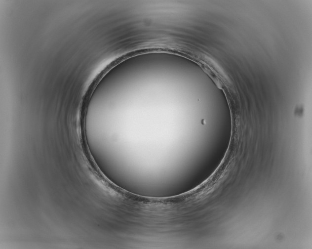 X0000090750788200708172026