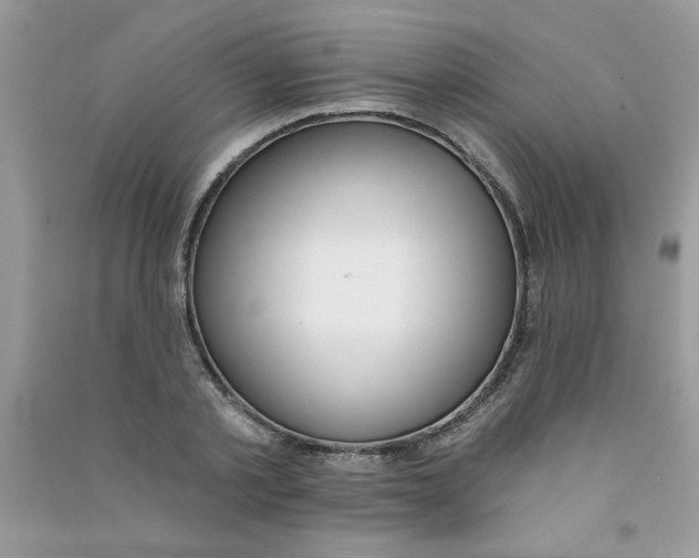 X0000090750789200708172026