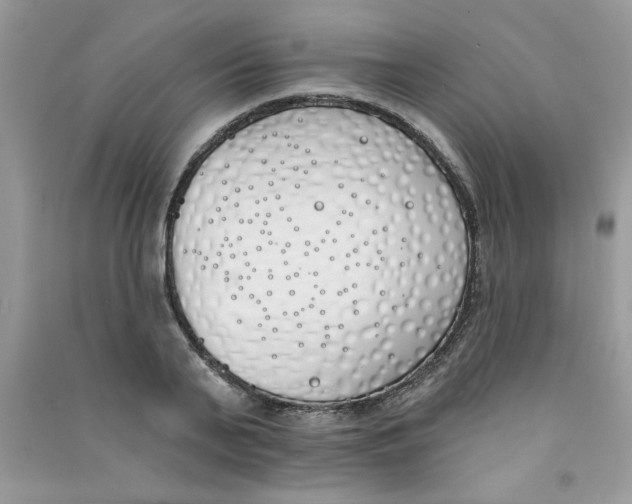 X0000090750791200708172026