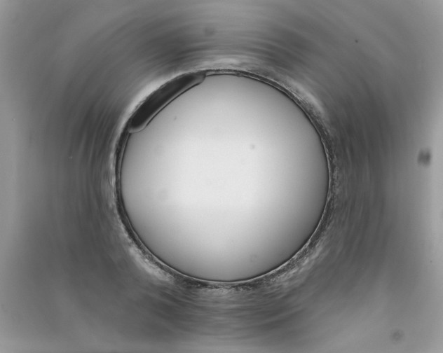 X0000090750792200708172026