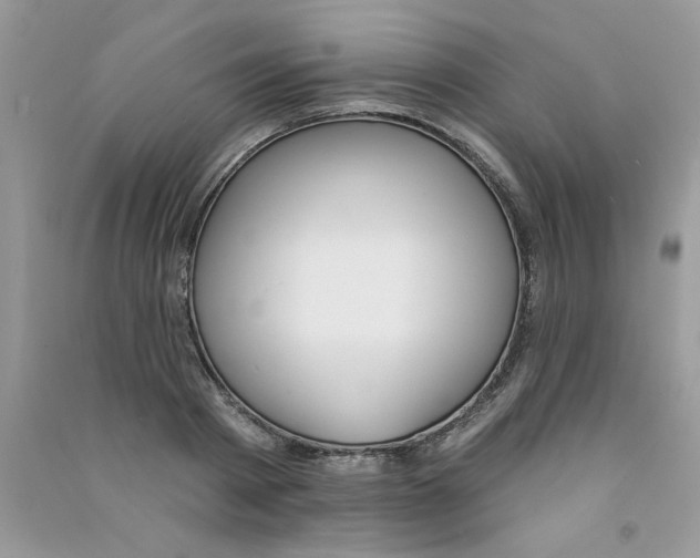 X0000090750793200708172026