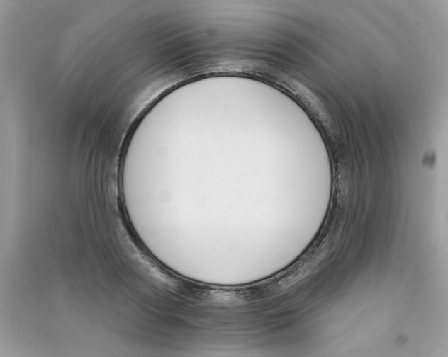 X0000090750794200708172026