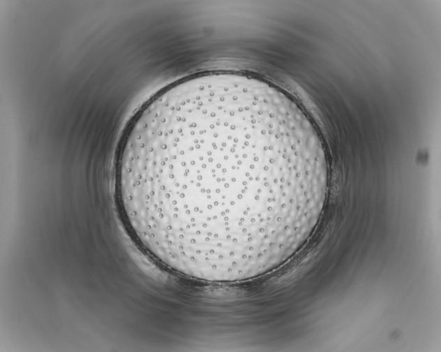 X0000090750795200708172026