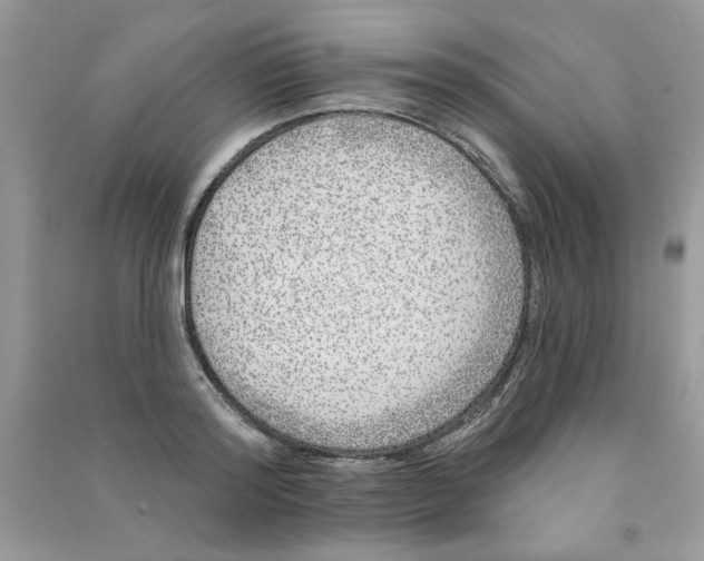 X0000090750796200708172026