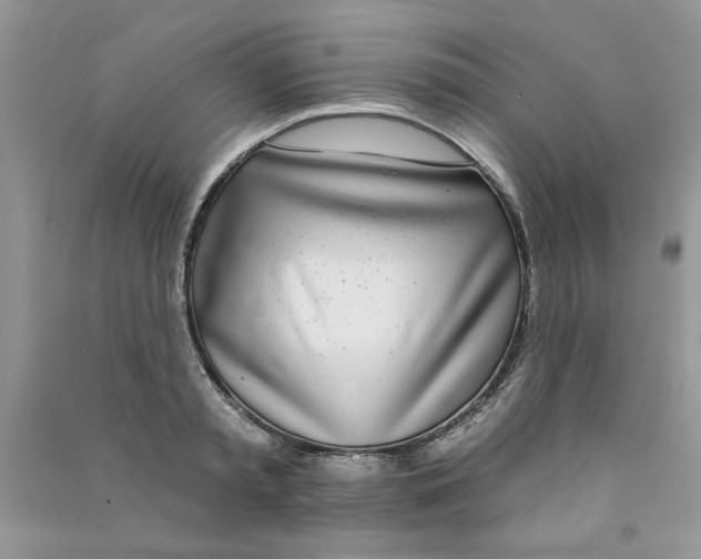 X0000090750797200708172026