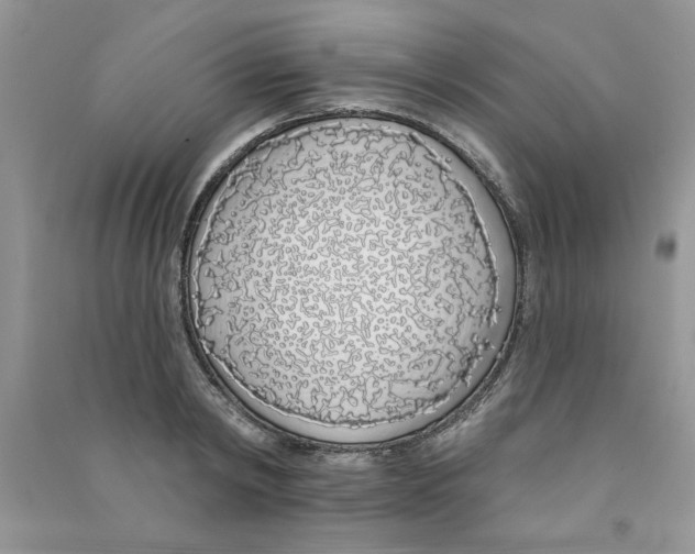 X0000090750798200708172026