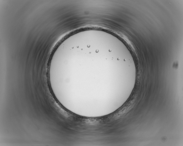 X0000090750799200708172026