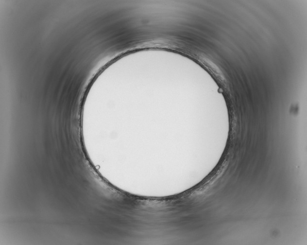 X0000090750800200708172026